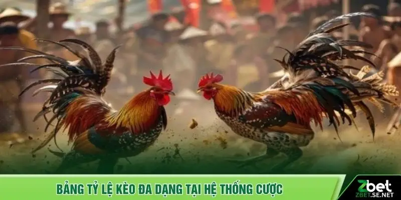 Bảng tỷ lệ kèo đa dạng tại hệ thống cược