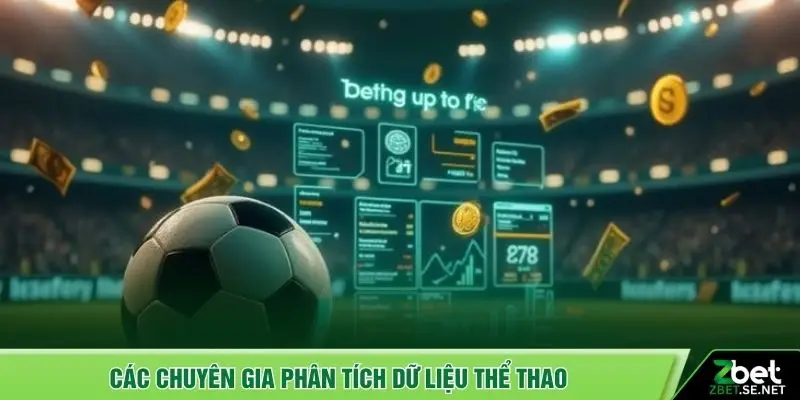 Các chuyên gia phân tích dữ liệu thể thao