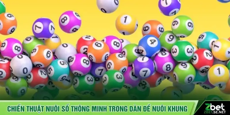 Chiến thuật nuôi số thông minh trong dàn đề nuôi khung
