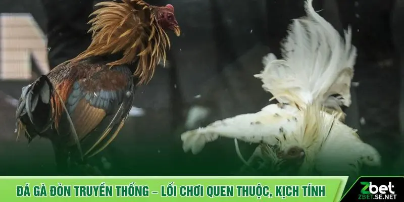 Đá gà đòn truyền thống – Lối chơi quen thuộc, kịch tính