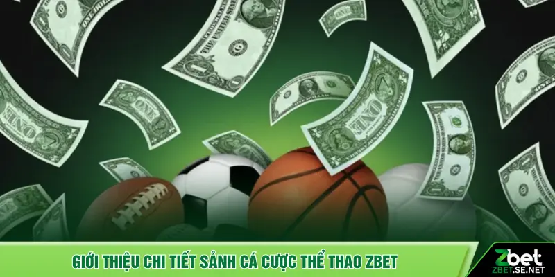 Giới thiệu chi tiết sảnh cá cược thể thao ZBET