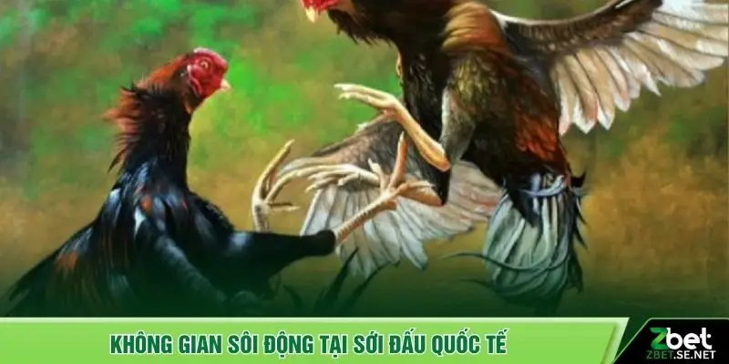 Không gian sôi động tại sới đấu quốc tế